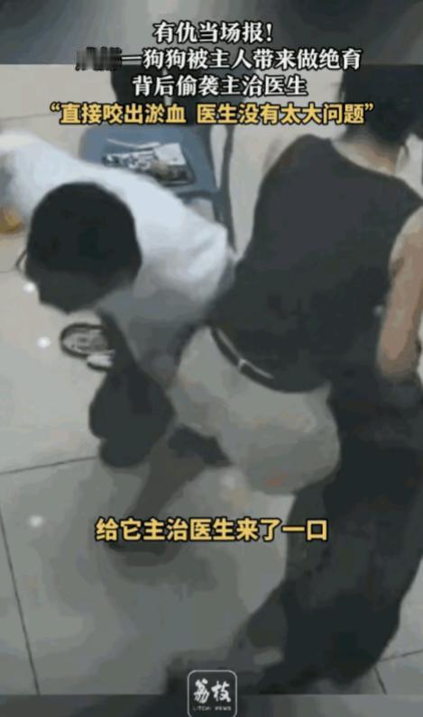 “有仇当场就报了！”据媒体8与15日的报道，近日，四川成都，一女子带着狗狗去医院