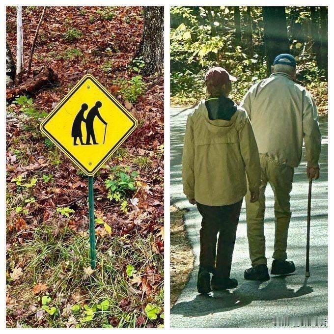 60岁的老人来说，每天走一万步并非绝对标准，是否合适取决于个人的体能基础和健康