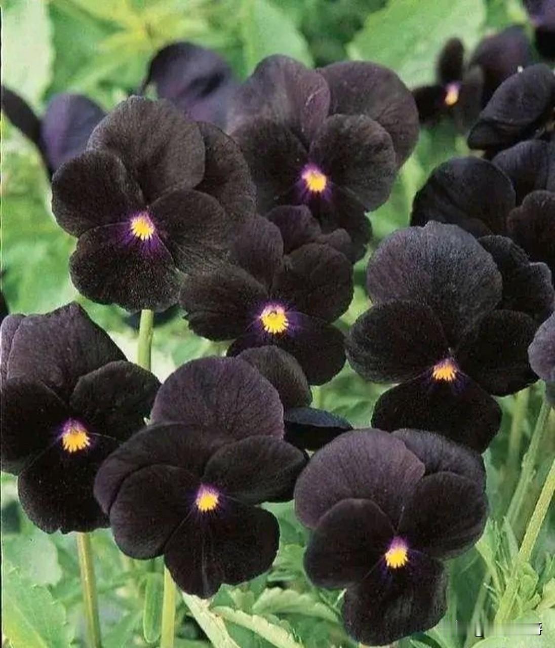 不信邪，但有时真邪门。我们村有个30来岁的大小伙了死了，昨晚酒驾出车祸死的。留