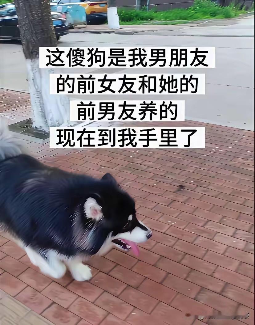 不得不说，这是年度最乱的关系，没有之一！[捂脸哭][捂脸哭][捂脸哭]