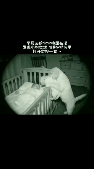 “泪目了！”一女子让宝宝独自睡摇篮，早上起来给宝宝换尿不湿时，却意外发现家里小狗