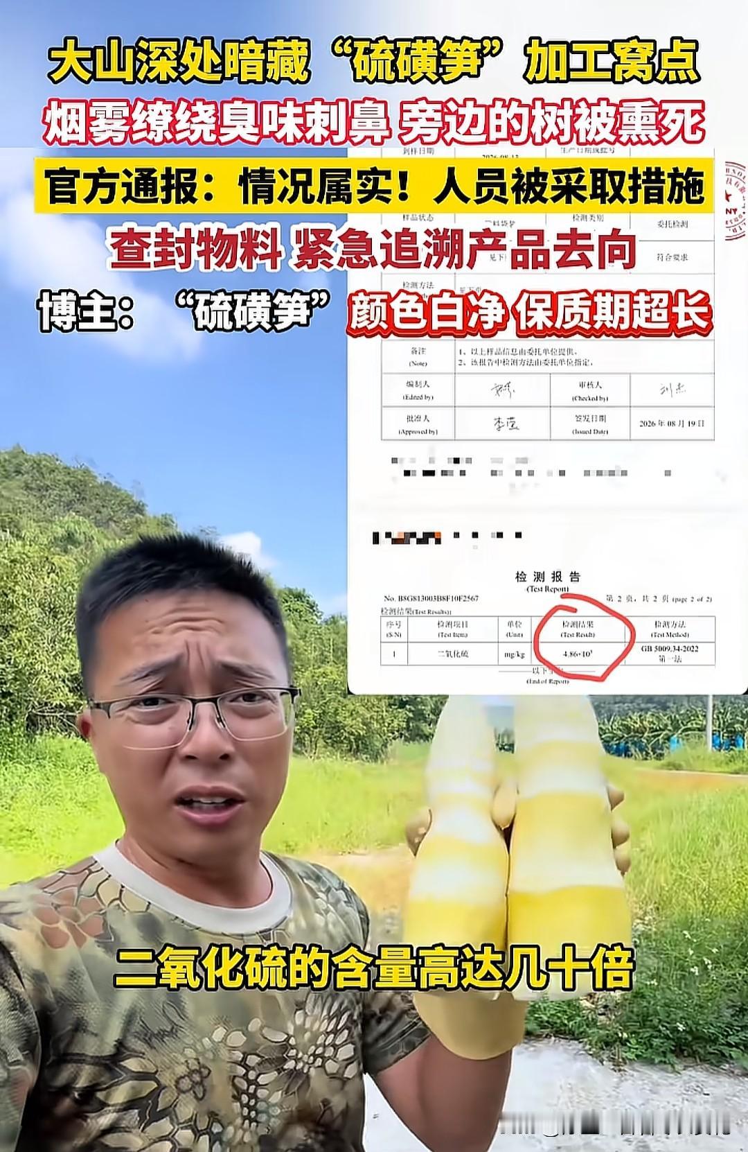 一个爱吃竹笋的女孩碎了！广东清远大山的深处，藏着一个把周围林子都熏到寸草不生的"