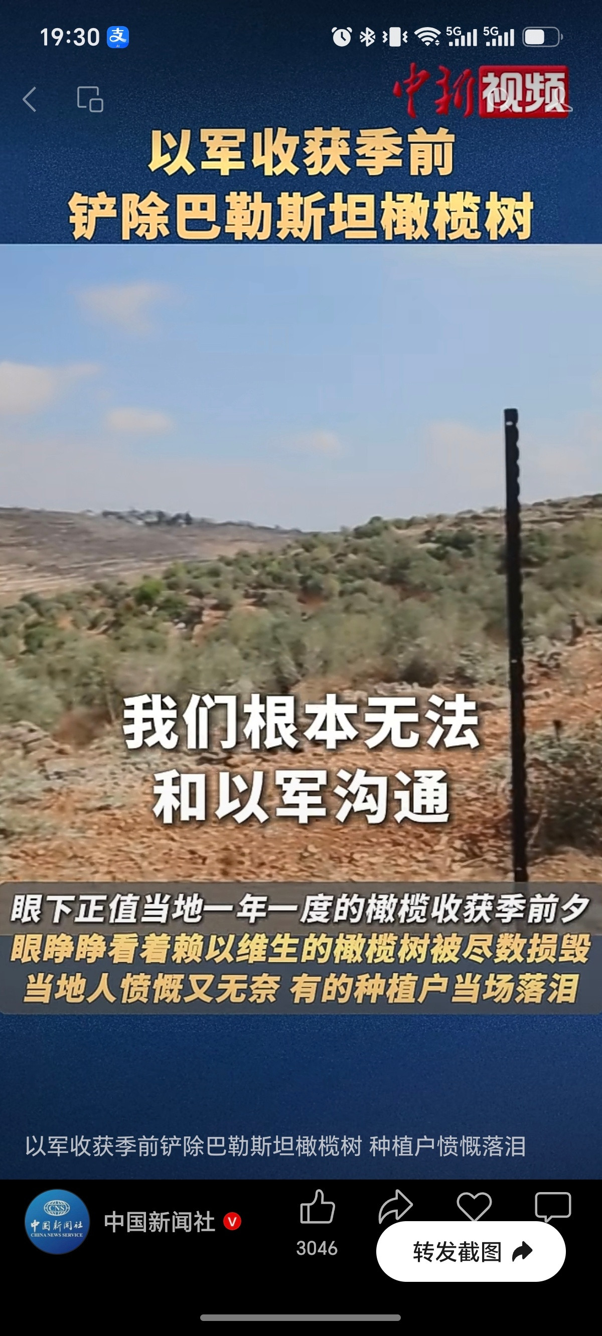 以军收获季前铲除巴勒斯坦橄榄树种植户愤慨落泪。橄榄树是这片土地的灵魂，根系里藏着祖辈的记忆与汗水。如