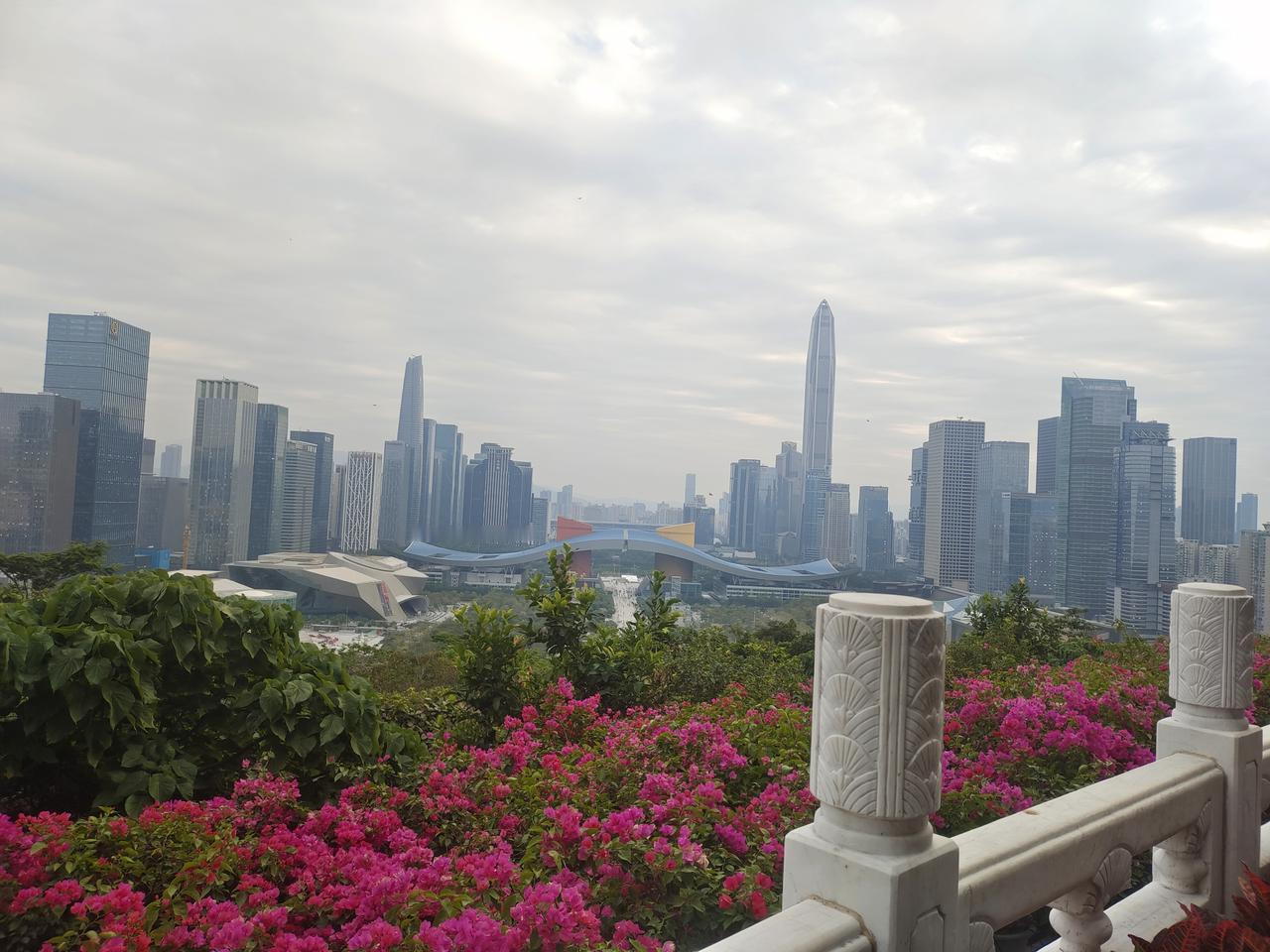 在深圳，每天穿梭于高楼大厦间，就像梅林一村的欧式建筑般规整又有秩序；傍晚去莲花山