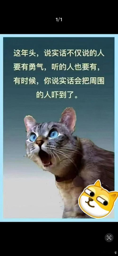 前两天发出来要得罪一大批人[捂脸哭][捂脸哭][捂脸哭]一一