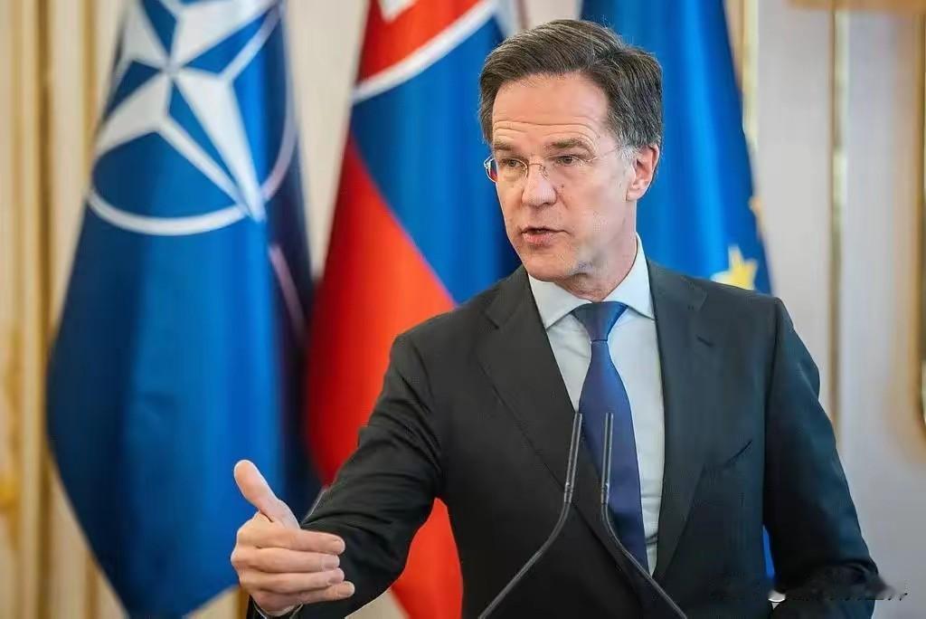 荷兰消息11月7日，荷兰选举委员会正式宣布，六六民主党以不到三万张选票的微弱优