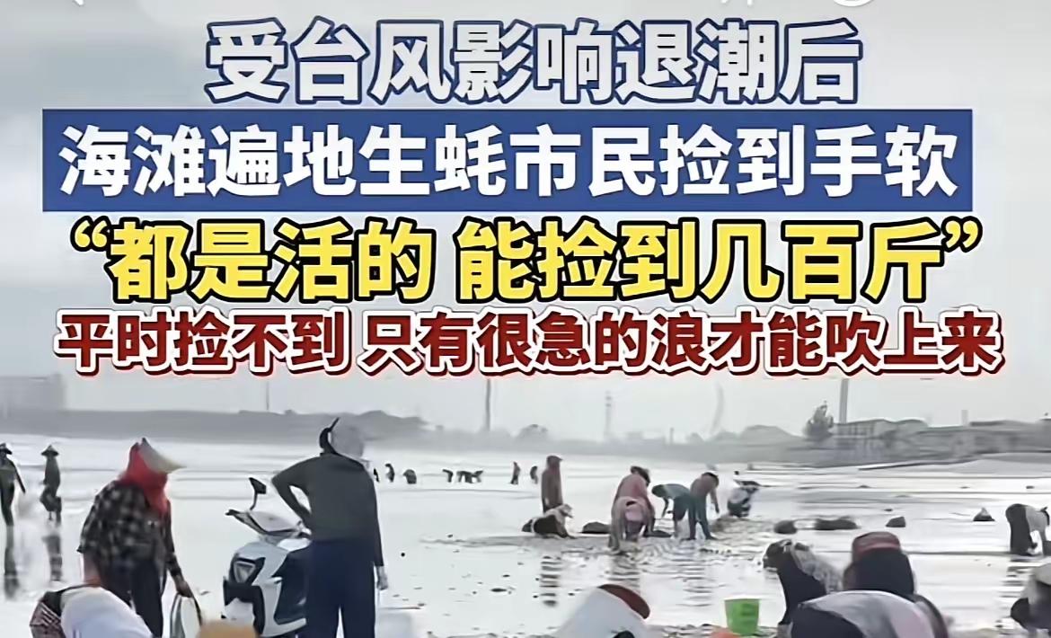 终于弄明白，​台风过后为啥要大家不要去捡海鲜了，​不是因为不让大家吃，而是因