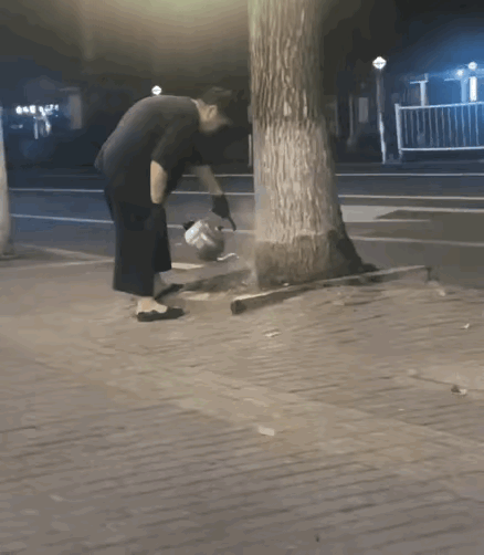 你绝对想不通老太太往大树上浇开水是为什么？网友说，沈阳一老太太经常往她家门前一