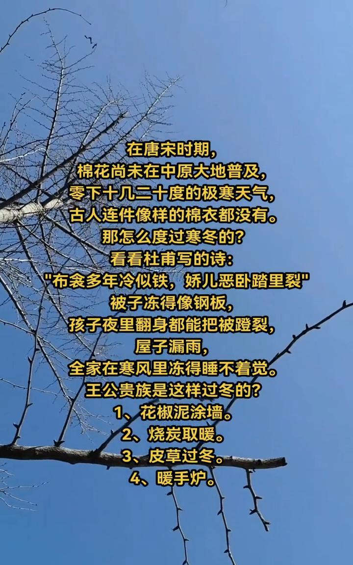 在唐宋时期，棉花尚未在中原大地普及，零下十几二十度的极寒天气，古人连件像样的棉衣