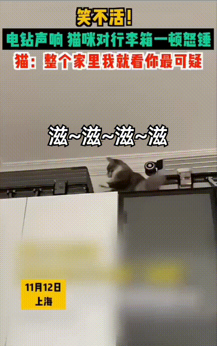 笑不活了！上海，女子家楼上正在装修，有时候就会有电钻的声音传下来，令女子没想到的