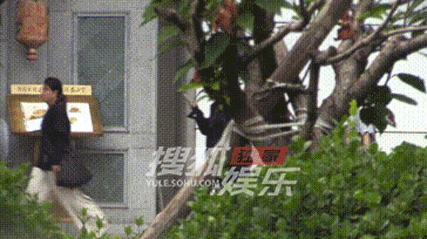 近日，杨幂低调现身私教馆健身，渔夫帽麻花辫搭配瑜伽裤的allblack健身造型