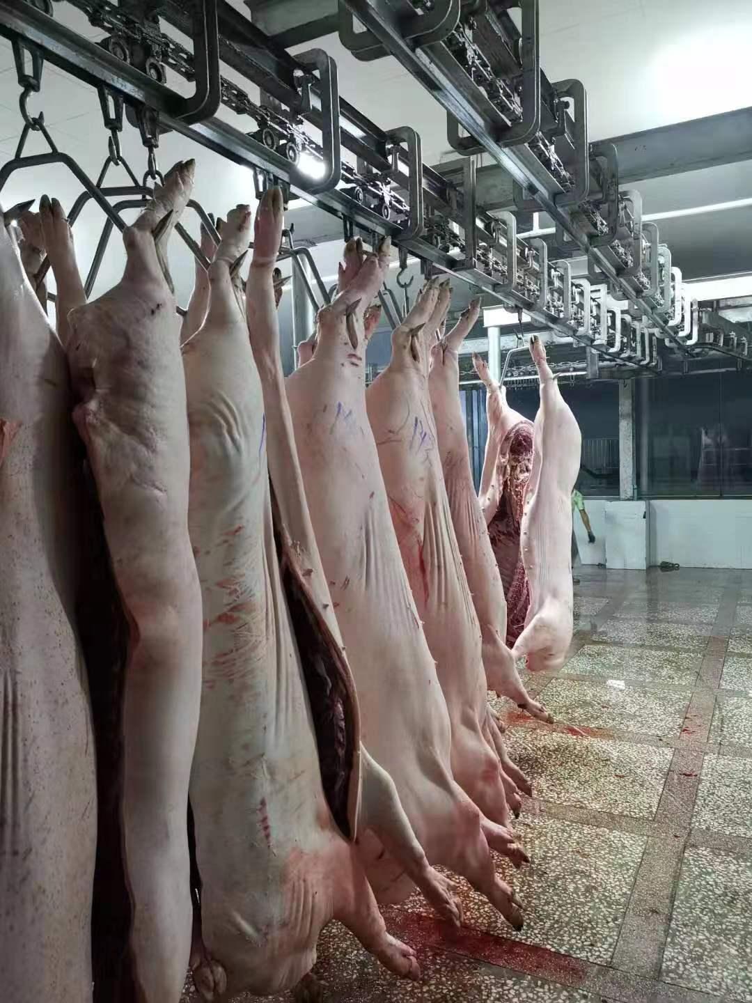 2026年3月26日全国生猪均价跌至每斤4.72元，创2019年以来新低，养殖端