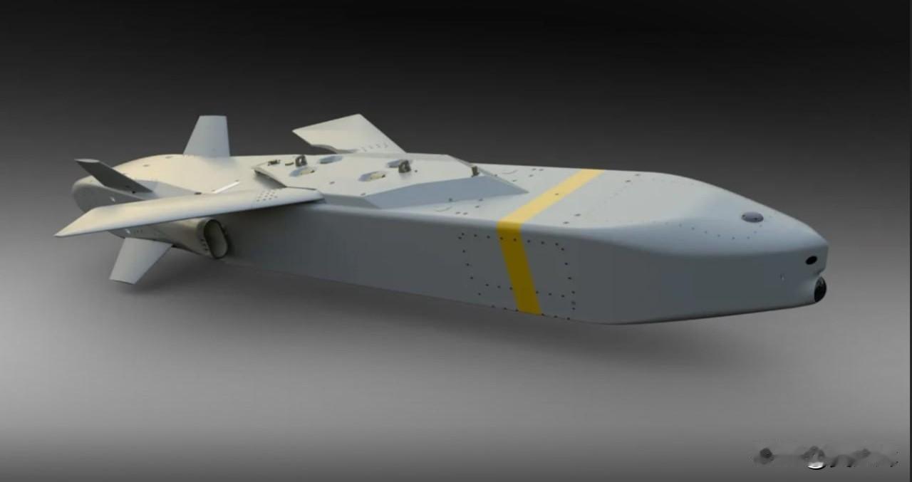 【德国为“金牛座”导弹的大规模、长期化生产建立批量生产线】德国金牛座系统有限