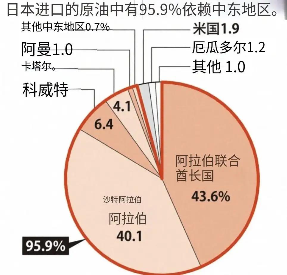 来看看小鬼子的能源构成，就知道牠们现在有多崩溃。霍尔木兹海峡一卡，牠们立马就翻