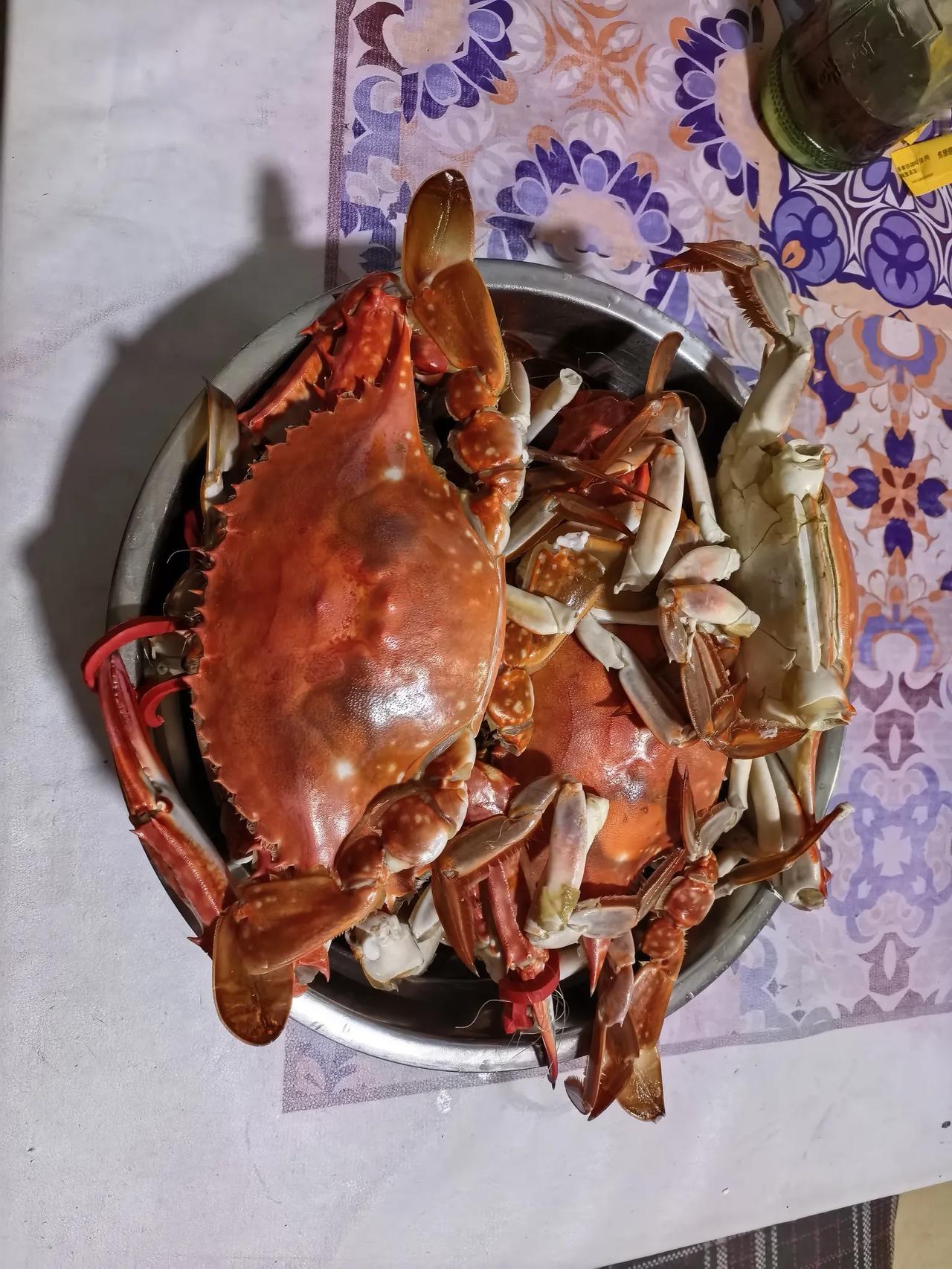 大连开海了，必须要尝尝鲜！昨天晚上下班，路过大连金州汇金市场，看到了鲜活的赤甲