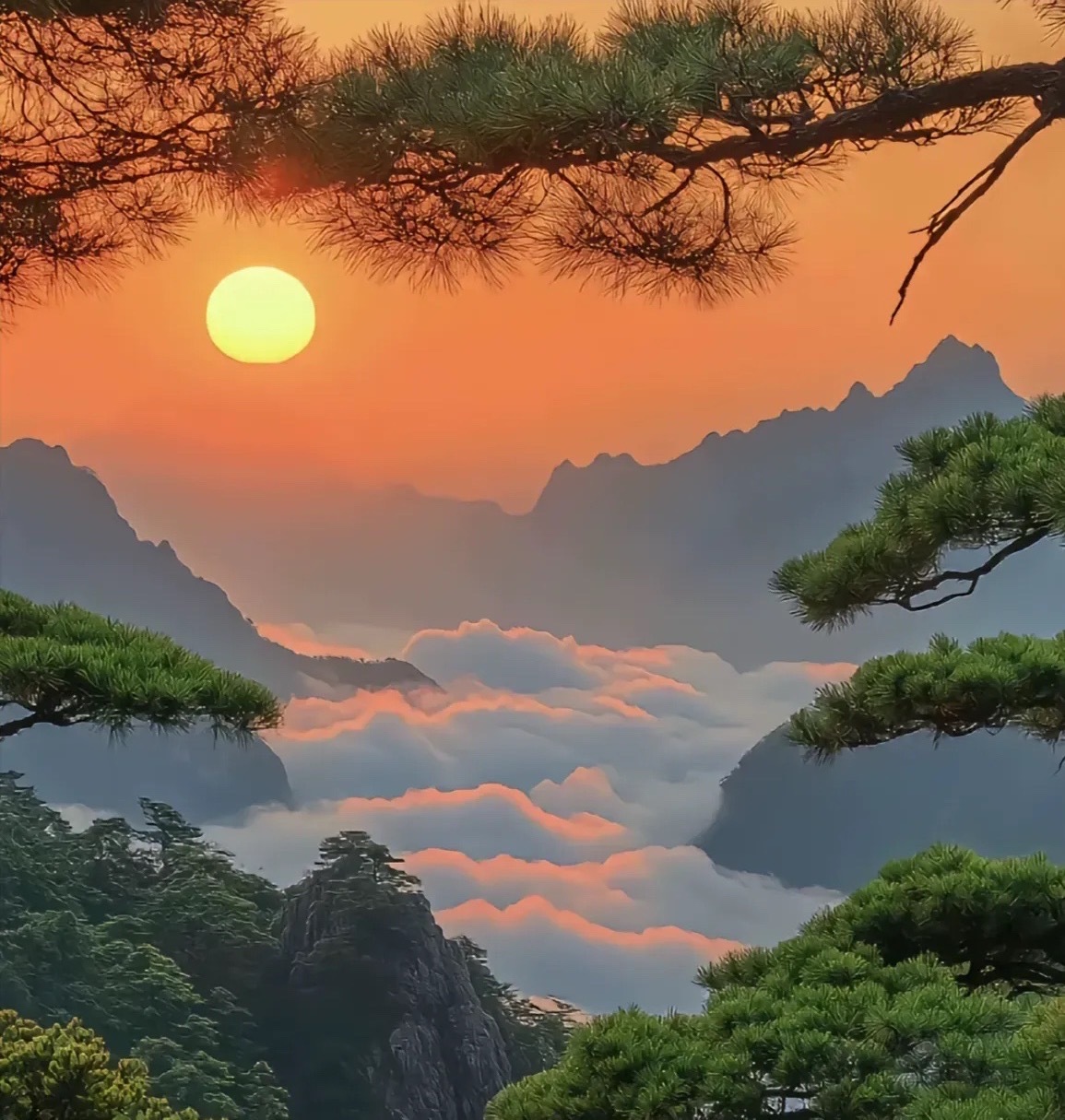 2026年7月24日沪深个股主力净流入Top10每天紧盯主力资金真金白银的动向，