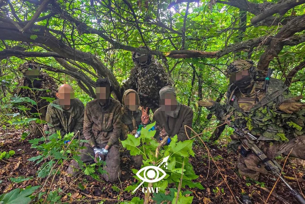乌军战士最新俘虏俄兵的图片！第一张在茂密的树林深处，阳光透过层层枝叶洒下斑驳光