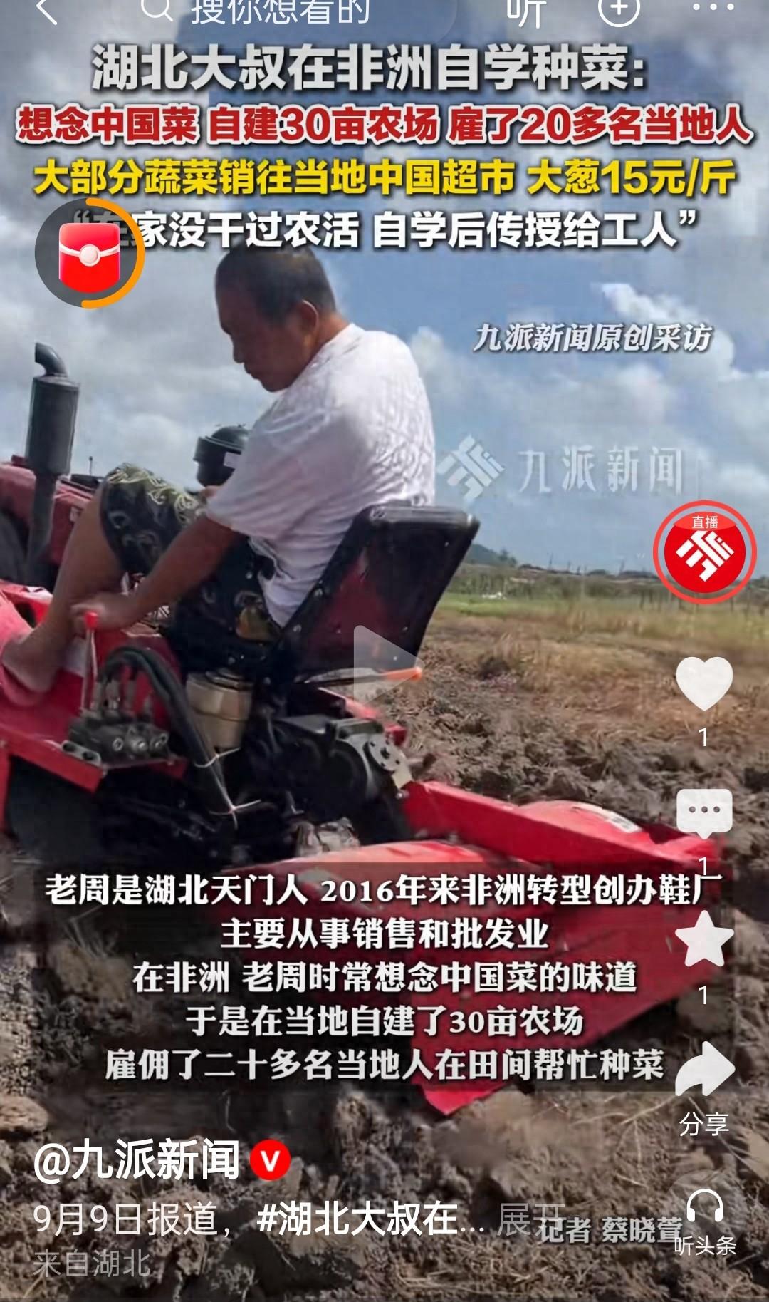 “刻在骨子里的种地基因！”湖北男子去非洲开鞋厂，不料却很想念家乡菜，于是就建了3