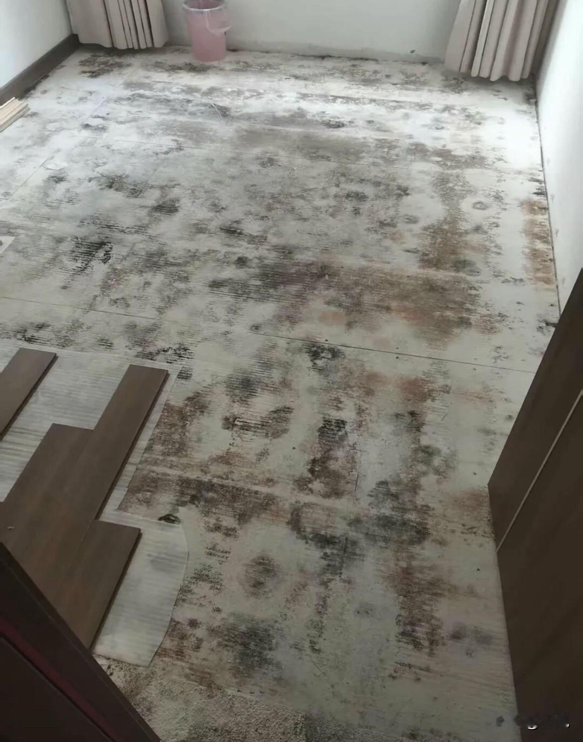 真的破防了！谁能想到，花一百多万买的崭新精装房，里面密密麻麻爬满了黑霉。郑州高新