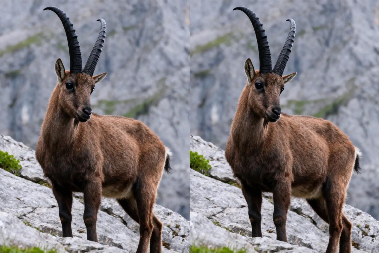 别被“不忍心看羊被宰”绕晕了！花1000买羊、1500卖，又1800买回、