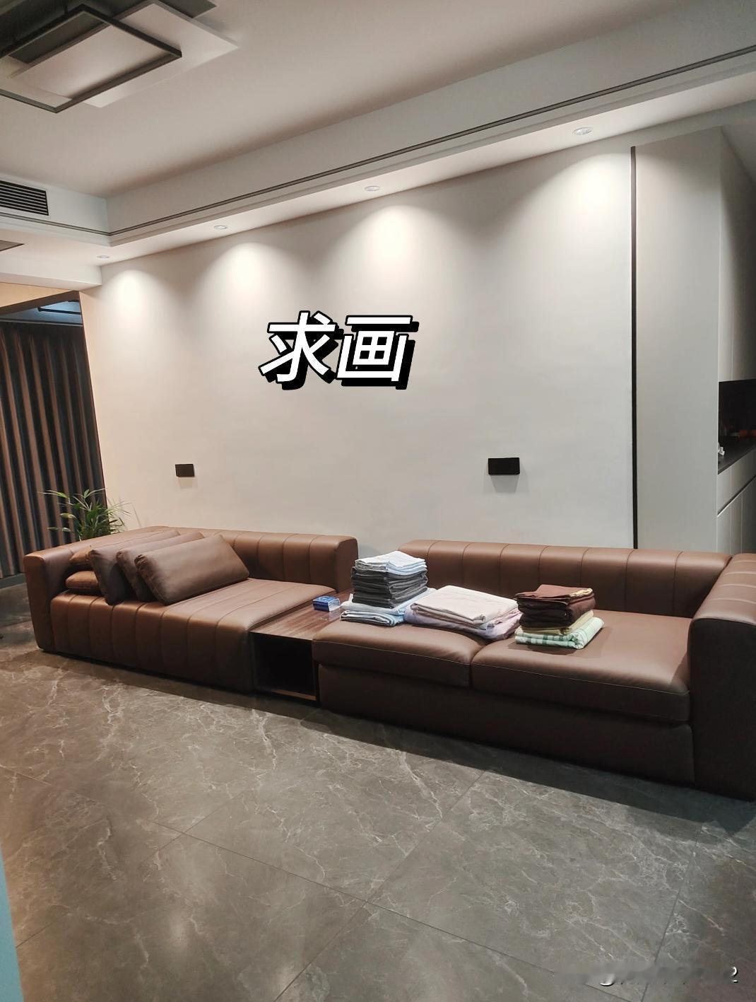 沙发背景，玄关求画或绿植，大师们帮我p几个看看效果[作揖][作揖][作揖][作揖