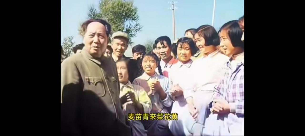 两段视频，打动了我。两个内容。一、毛主席视察农业。二、周总理在朝鲜向志愿军陵园
