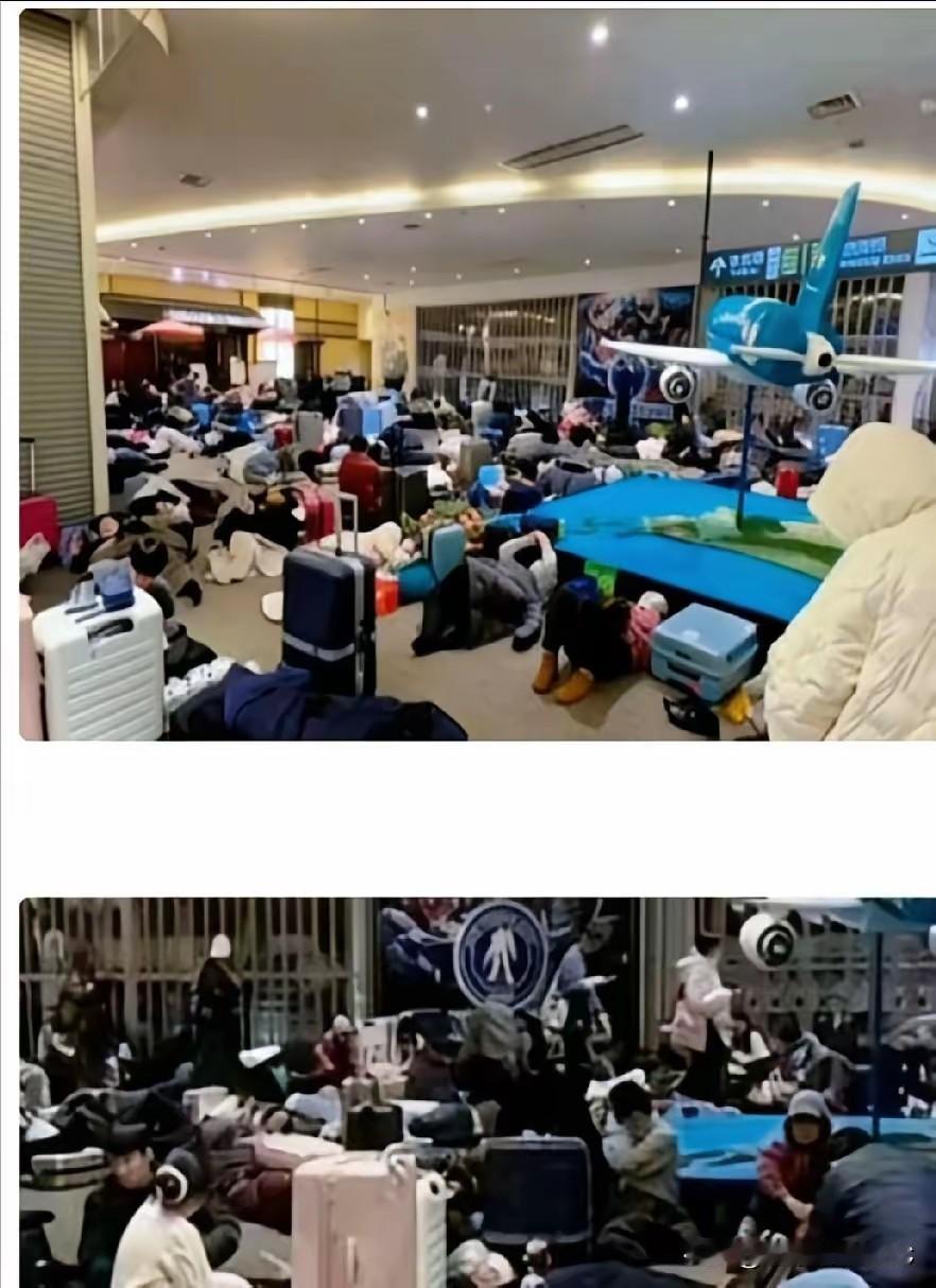 看到北海道那1800名游客闹着要“国家包机”，我差点把饭喷出来。这就好比明知