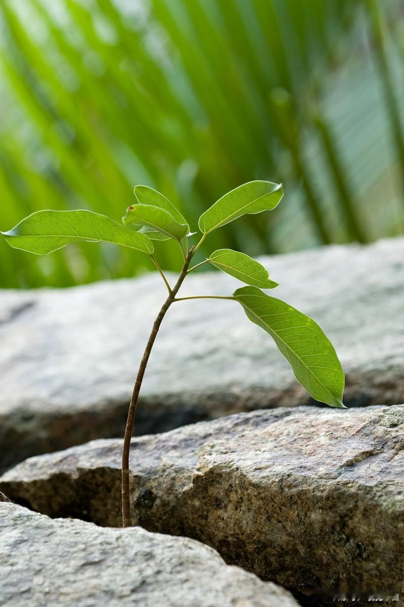 退休3年，我终于发现了不生病的秘密：谁影响我，我就放弃谁！退休前以为，不生病