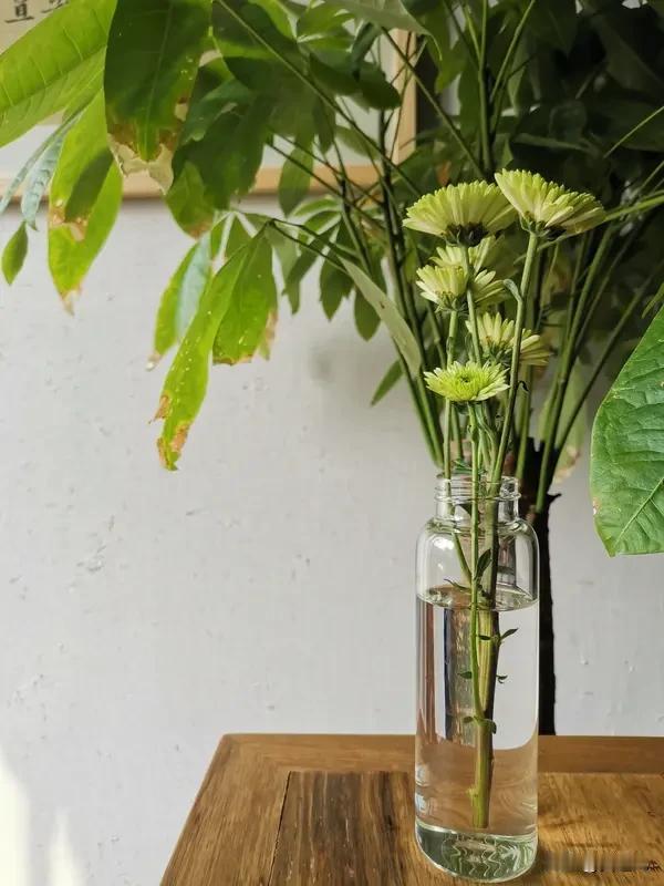 2026最想实现的一件事2026最想实现的事，不是一夜暴富的奇迹，而是把平凡日