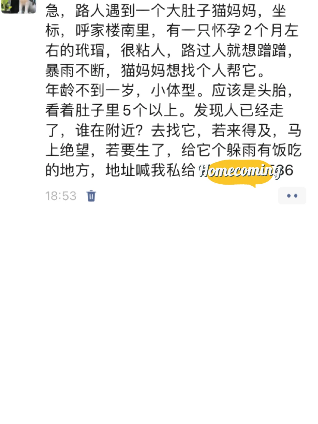 急，路人遇到一个怀孕大肚子母猫，坐标，呼家楼南里，有一只怀孕2个月左右...