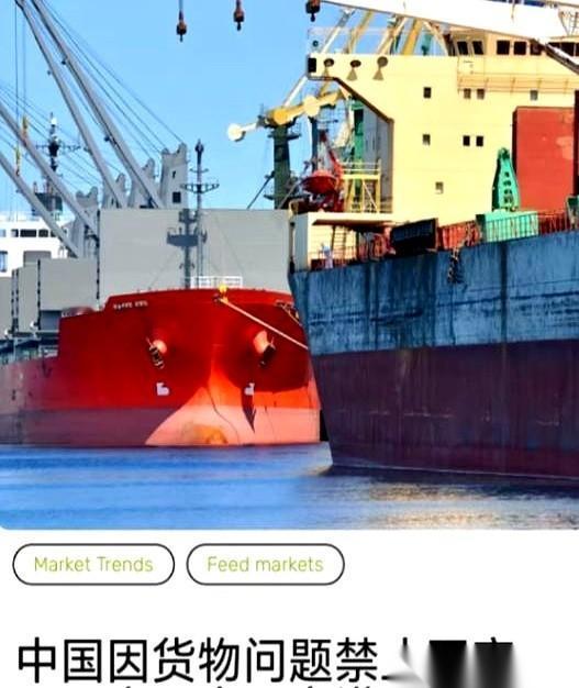好家伙，将近七万吨大豆，船都开到家门口了，我们直接一句：退回去。为啥？货舱里