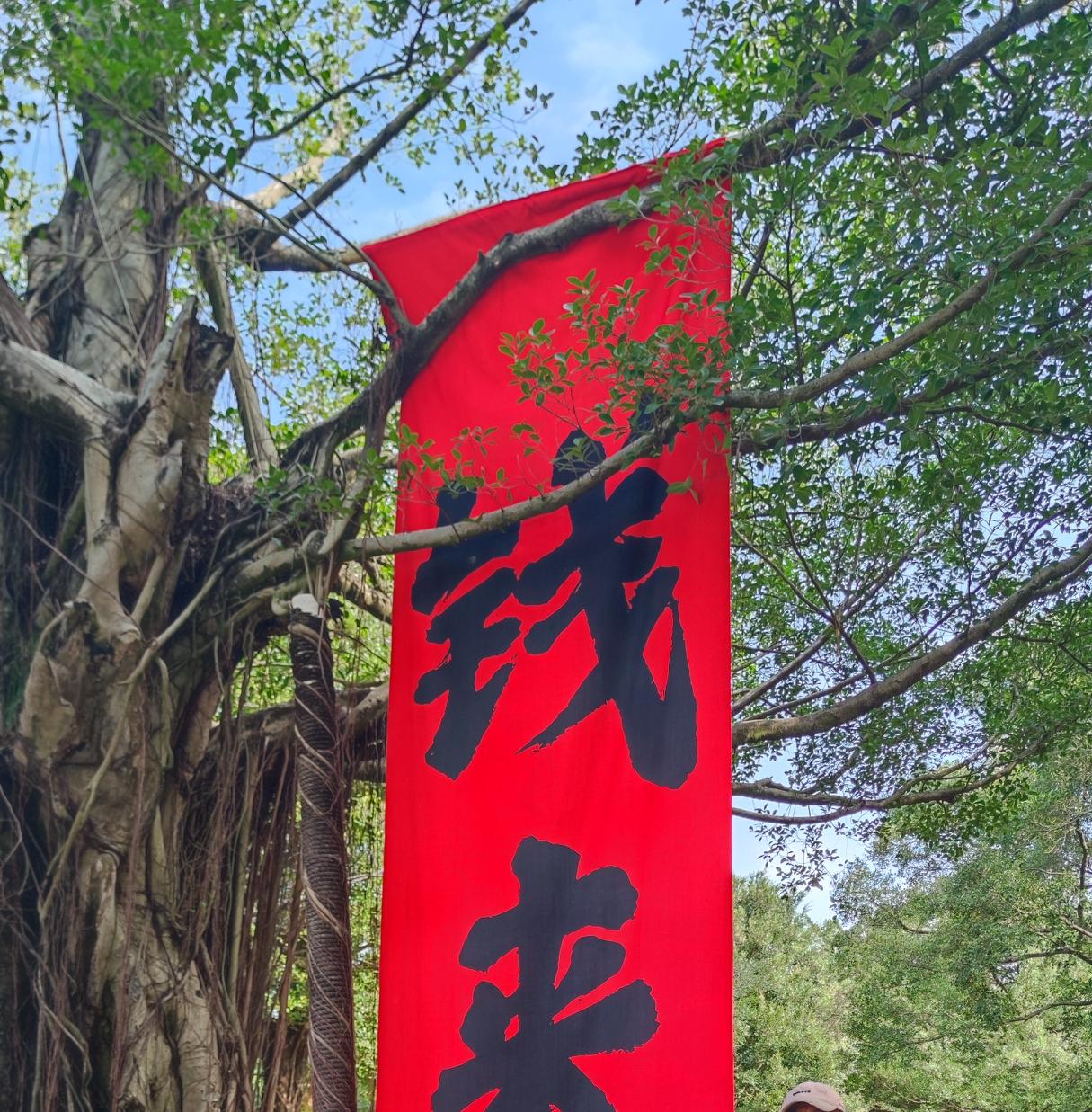 我已经退出股票不再玩了，但还要给大家一个忠告，我想在股市中生存下来，真的很难。我