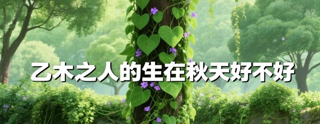 关于乙木生在了秋天好不好，咱用大白话聊这个事儿！你把乙木想象成一株小花草，秋天对