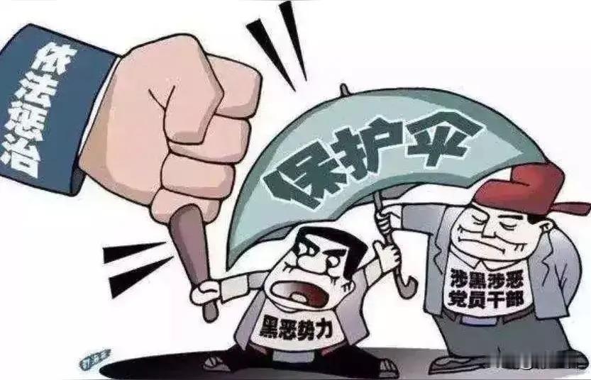 老百姓恨的从来不是明面上的混混，而是混混身后那把“看不见的伞”。你细想：为啥