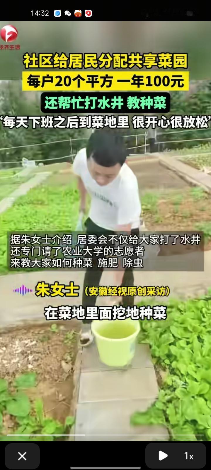 10月15日，湖北武汉。女子晒视频称，社区居委会分配共享菜园，每户20平，一年1