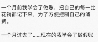 现在的我学会了做假账