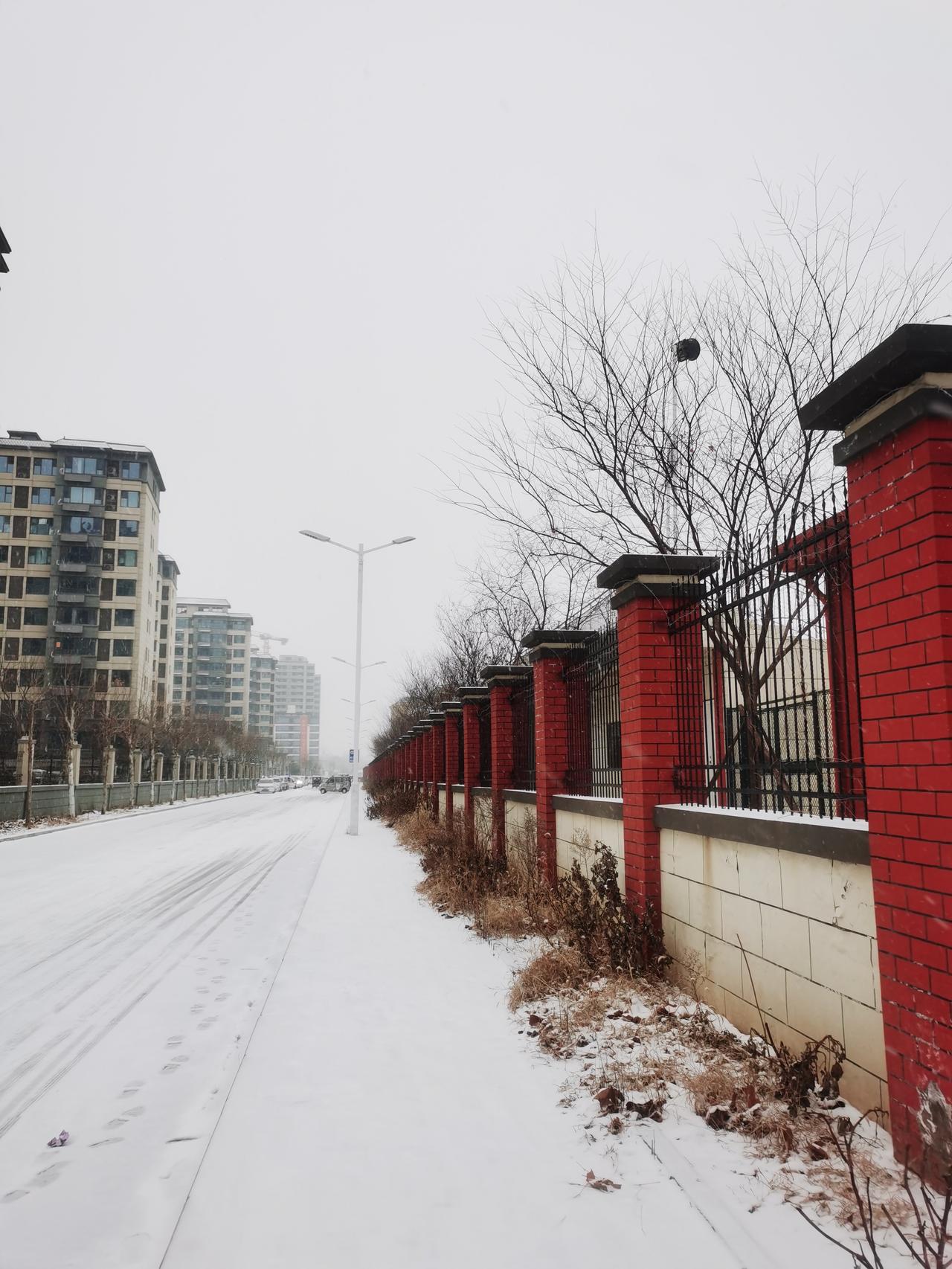 今日运势：乙巳年己丑月乙未日2026.1.21日鼠：别贪小利吃大亏牛：