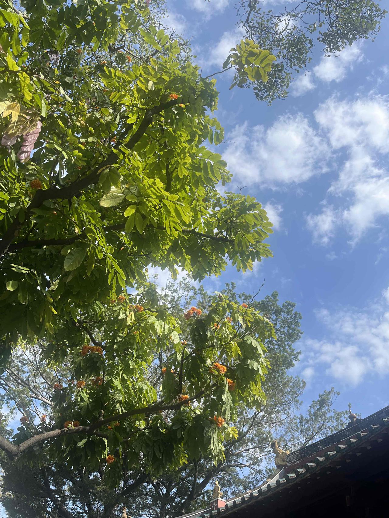 广州今年的天气好像没有春天，过完春节直接就进入了夏天的节奏。路上的行人也开始了