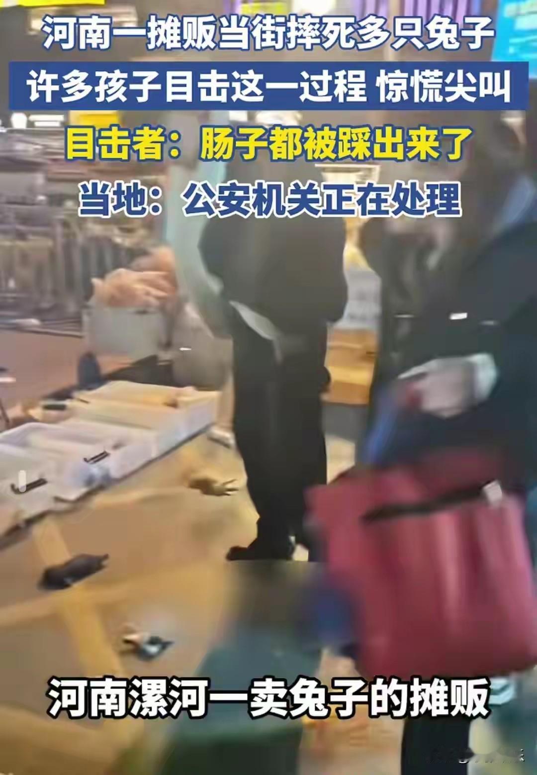 当街摔死多只兔子仅拘5天，看完真的气到手抖！好家伙！我真滴看不下去了儿！