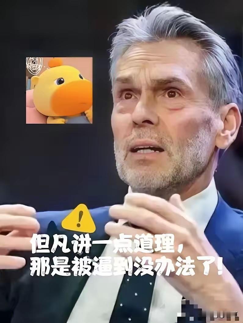 荷兰人这回是真急了!本来铁了心要掐安世半导体的脖子,结果发现自己的手也被卡住了