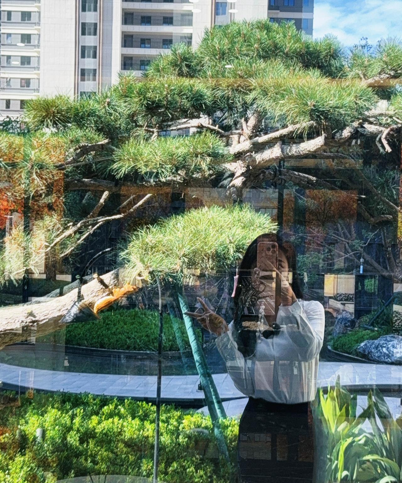 兰州人苦等十多年的中通道项目终于要成了！年初，一期18.3公里控制性工程通车，直