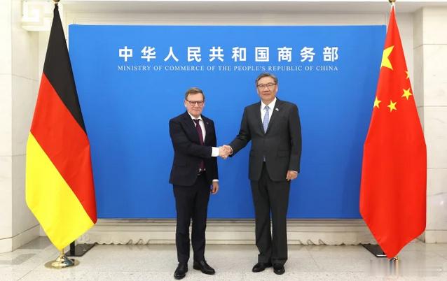 【商务部部长：当前最重要的是荷兰政府停止不当行政干预】12月8日，商务部部长王文