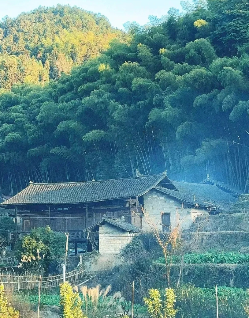 我妈有个远房姑姑，早些年，嫁到我们村，生了三女一儿，后来男人死了，儿女陆续成家，