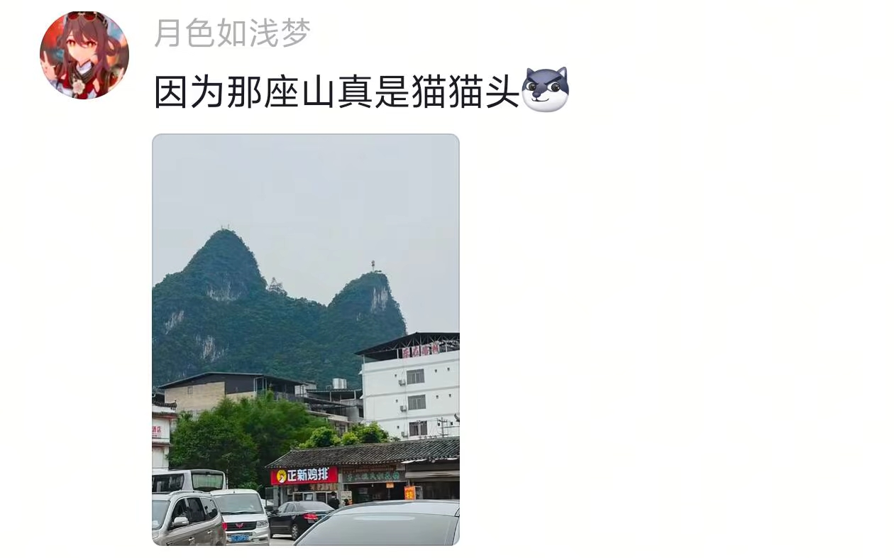 原来这是猫猫教！