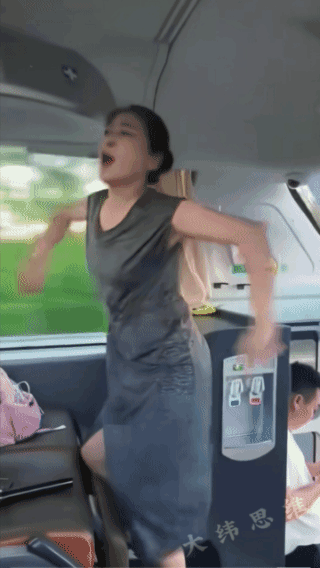 这个导游，我出去时怎么没碰上？