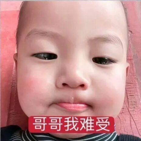 𝑺𝒉𝒂𝒓𝒆·表情包丨最近使用频率很高的自用表情包​​​