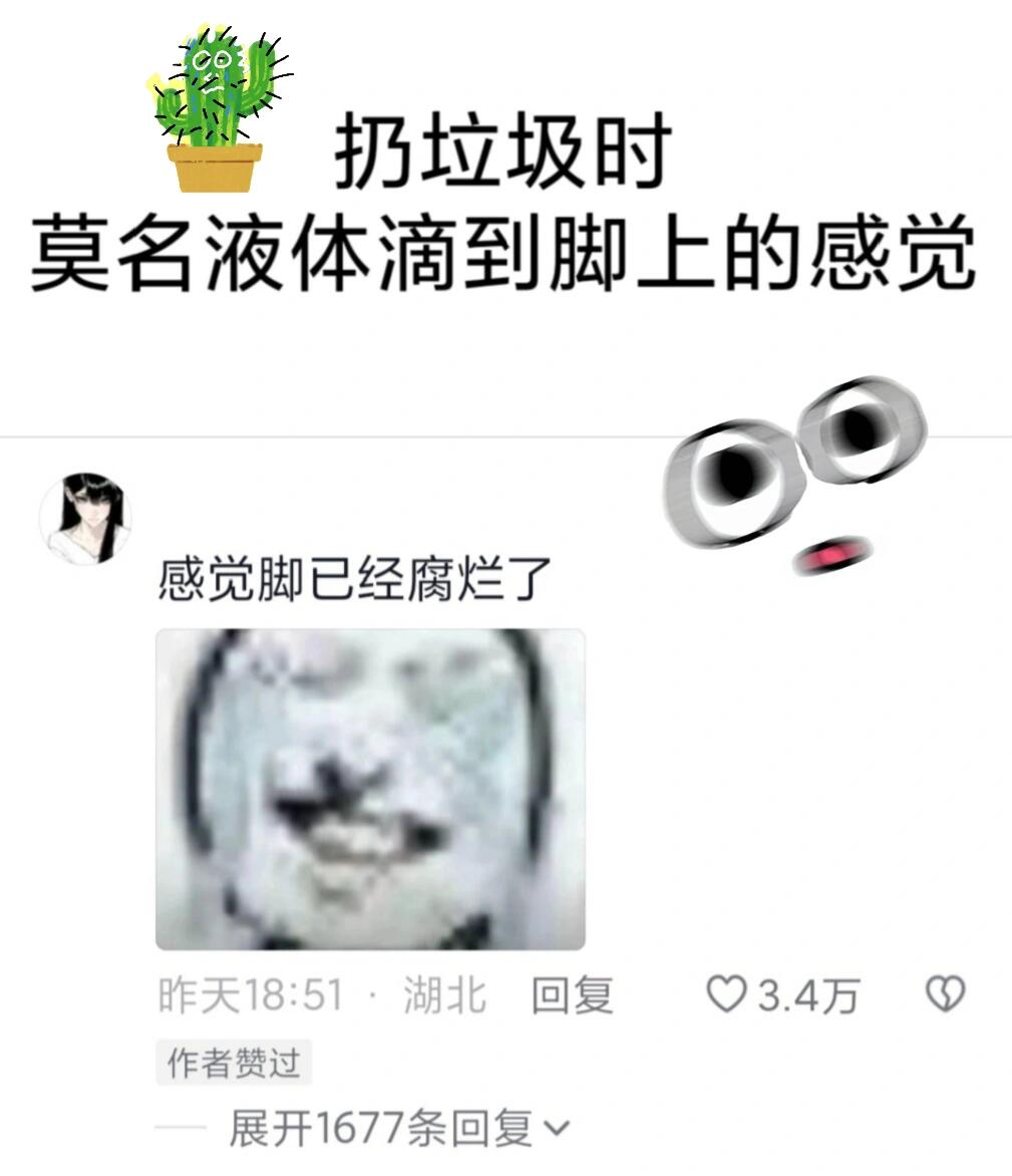这也太崩溃了吧