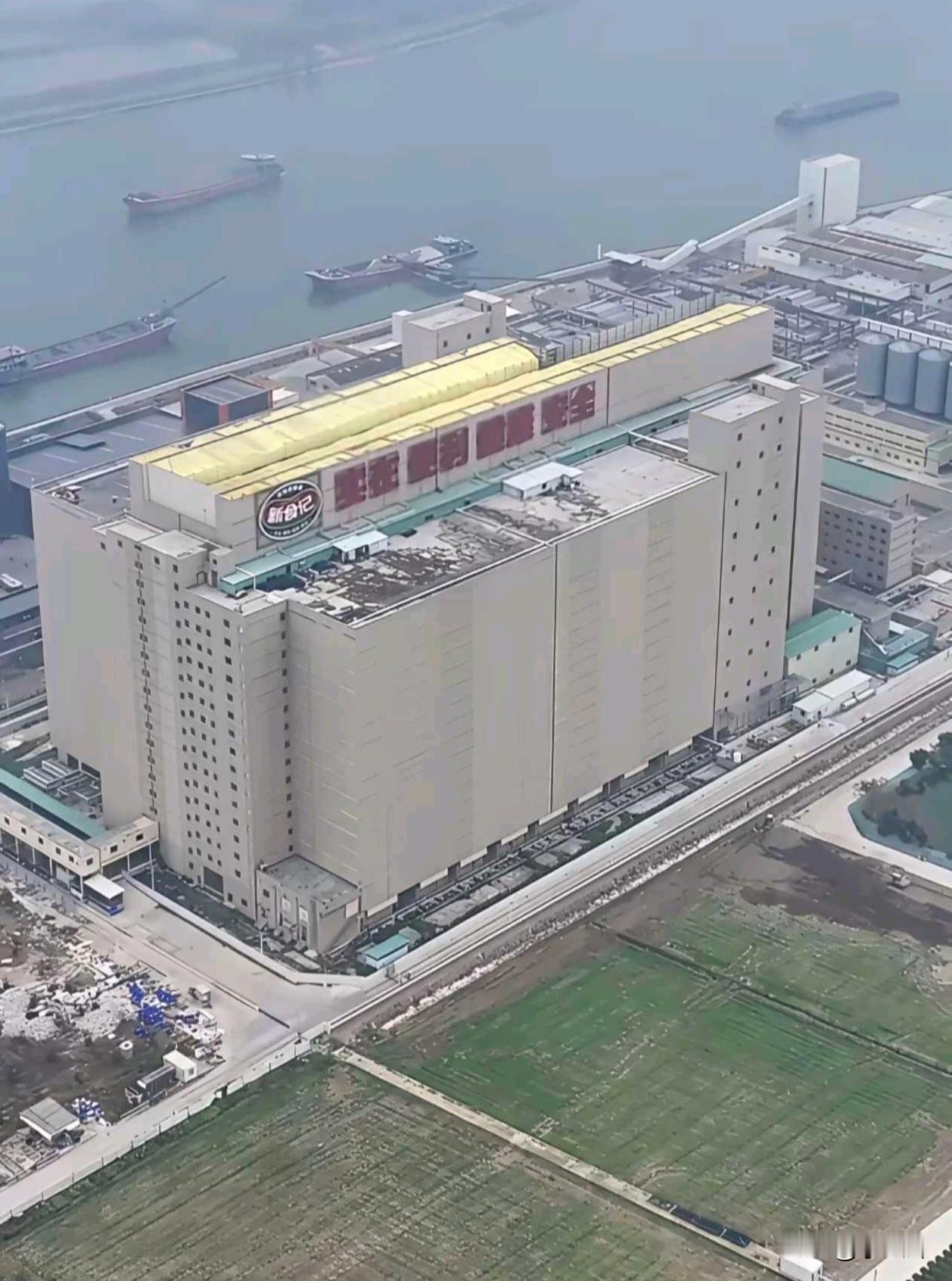 这里养了一个省需要的猪，每天要割多少猪草才够？