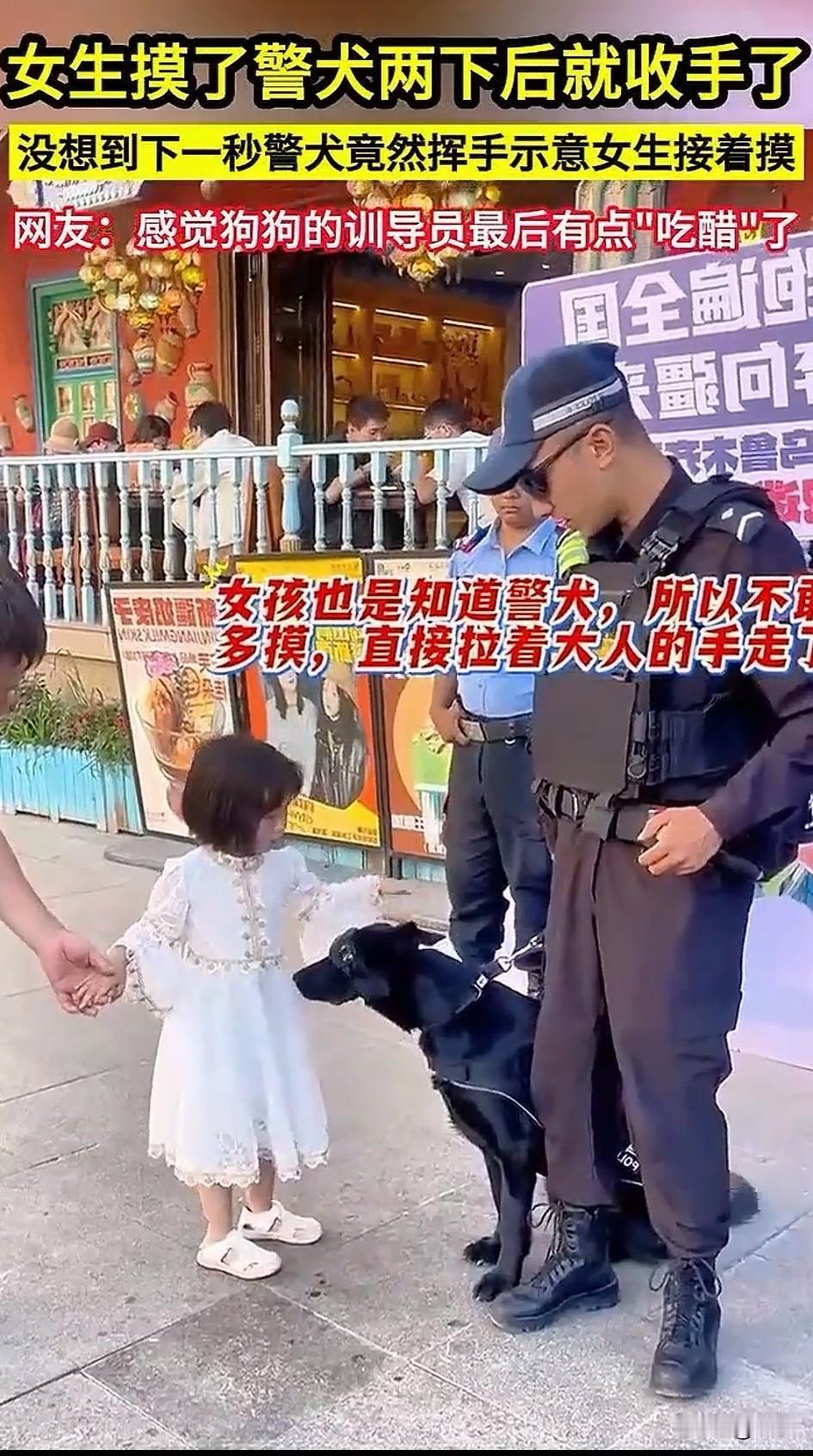 女孩和爸爸逛街，路上看到了叔叔带着警犬执行任务，由于非常喜欢警犬，我忍不住