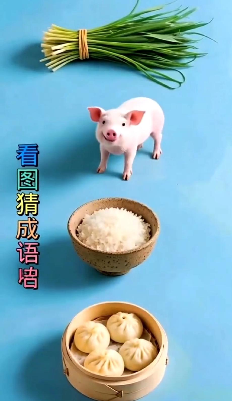  全网都在懵！韭菜+小猪+盐+包子的成语，这题难倒90%的人，你知道答案吗？